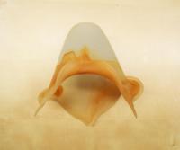 Leuchtenschirm Milchig Hellbraun Glas ⌀ 13 cm Blütenkelch